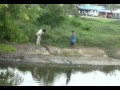 Pancing Biawak Mons...