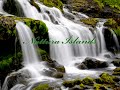 Gr�nt e�a gr�tt - n�tt�ra �slands