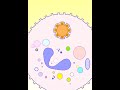 Phagocytic Cells