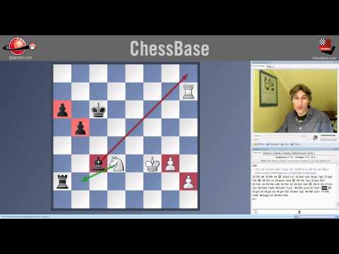 chessbase
