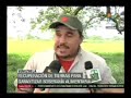 Venezuela inicia expropiación de tierras ociosas