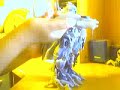 A Megatron transformers toy reveiw (part1) A Megatron transformers toy reveiw (part1)