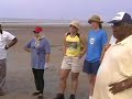 Mangrove Tree Planting