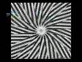 TRIPPY VISUALS VOL 1