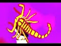 Excepter - Rock Stepper Excepter - Rock Stepper