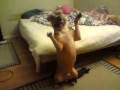 Tiny
