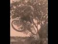 Neco - Fade to black