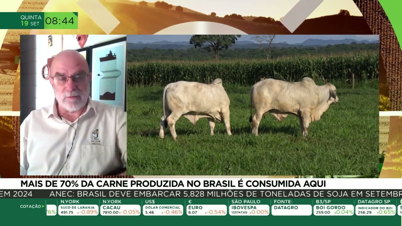 Mais de 70% da carne produzida no Brasil é consumida aqui
