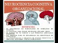 Neuromanagement [neurociencia Y Liderazgo]