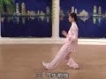taichi 24 forms part 8 a
