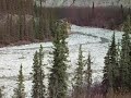 SD530470.AVI