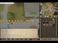 clip0019