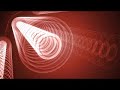 Elastix v1.6 parte 2-2