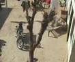 Rehdi e Sataundi Yaad Dosto Punjab Di...Bajwa's Village