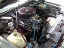 videos de 1979 M/C monte carlo landau