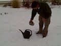 Applying Save-A-Tree in Winter