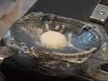 oobleck twist and shout