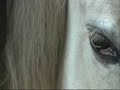Guusje & Jolanda Adelaar - clip Guusje & Jolanda Adelaar - clip