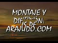 arajudo com   clubjudomiriamblasco com