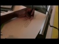 Altair Speed Drawing 1 Altair Speed Drawing 1