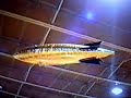 gold rc airship