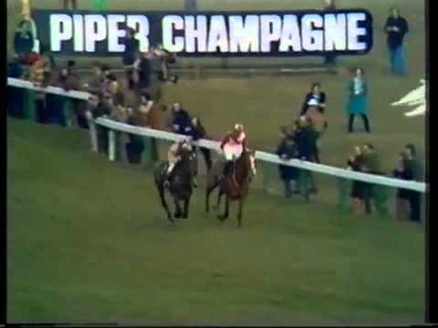 cheltenham gold cup