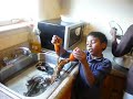 Chinnu Playing with Lobster2.MOV Chinnu Playing with Lobster2.MOV