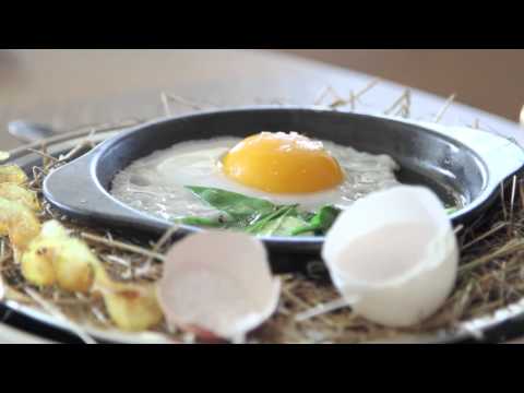 Youtube - Video: NOMA DUCK EGG