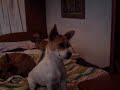 Nina