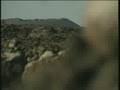 Spain - Canary Islands - Lanzarote - National Park Timanfaya