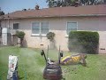 Search Video