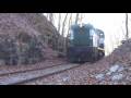 W&W 915 : The Newcomer