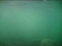 sea_turtle_close_encounter001.avi sea_turtle_close_encounter001.avi
