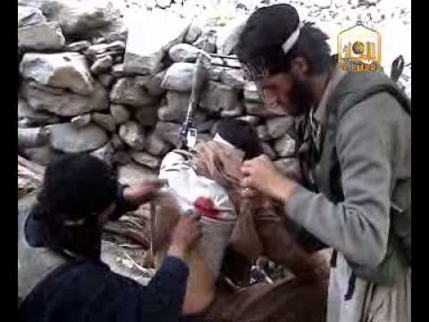talban - ostaz yasir afghan tiger.