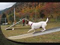 Entrainement avec Moon