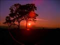smooth jazz   tania maria   its all in my hands