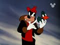 PIPPO - CACCIA ALL\