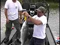 SUPER SIZED STRIPERS riverskimmer guide service SUPER SIZED STRIPERS riverskimmer guide service