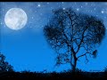 the very beautiful song - 