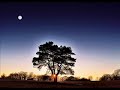 the very beautiful song - 