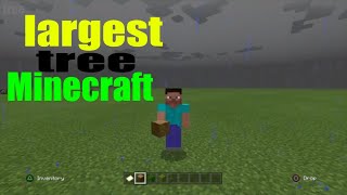 Largest christmas tree in minecraft 2020
