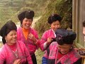 Longji Rice Terraces