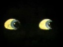videos de Jeff Keen: Instant Cinema (1962/2007)