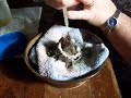 Pritchards Hummingbird babies 1 Pritchards Hummingbird babies 1
