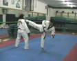 Taekwondo Donato - Ilario