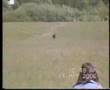Afgano video