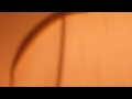 videos de MONEY BUG EWWWW!