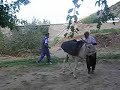 Enver mecburi hizmette