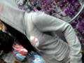 videos de claires