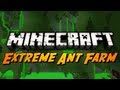 Extreme Ant Farm Survival - Ep. 6 - I HATE CREEPERS!